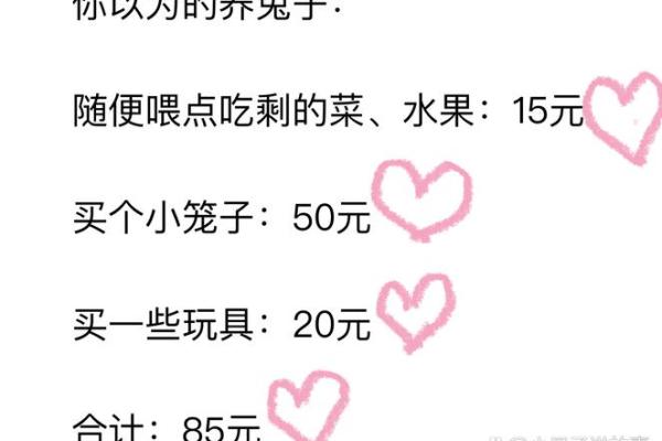 兔子与财富：如何通过风水养兔提升财运