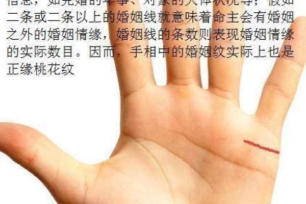 免费测试告诉你谁是你的正缘对象