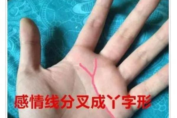手相中能看出你将有多少子女吗