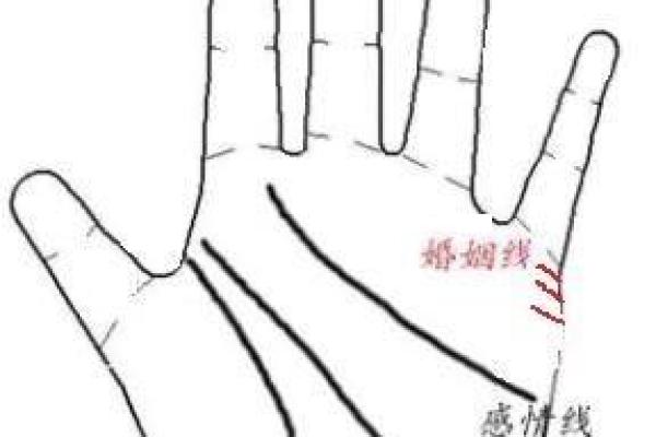 结婚命理对婚姻幸福的深刻影响分析