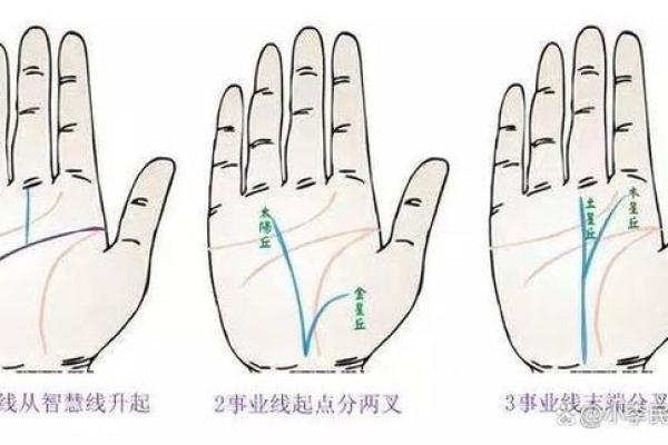 女生右手手相图解：了解你的未来趋势