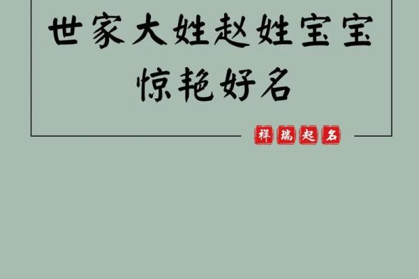 赵姓男宝宝取名指南，打造独特有意义的名字
