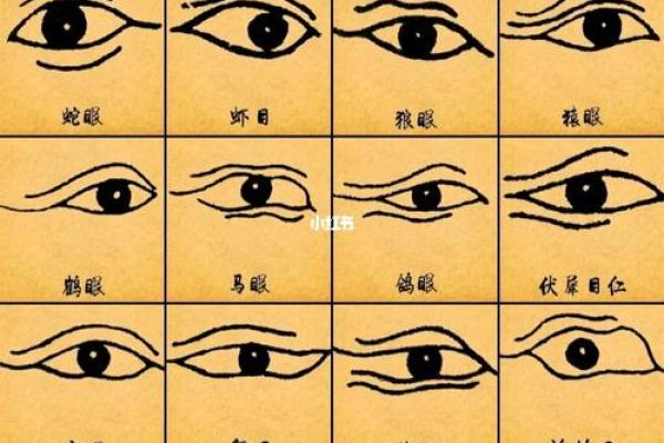 如何通过眼睛的形状判断一个人的命运