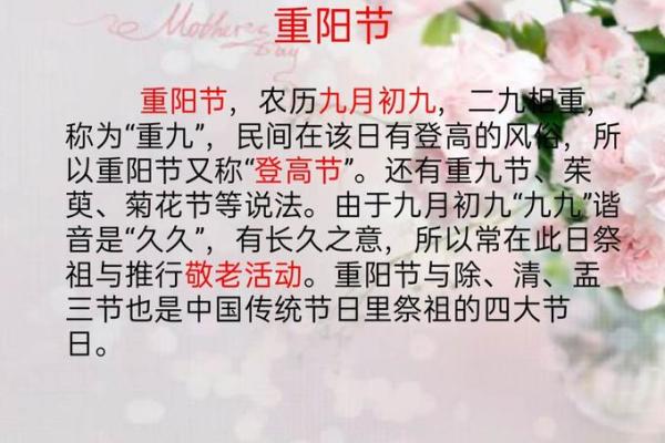 重阳节的由来与传统习俗探秘