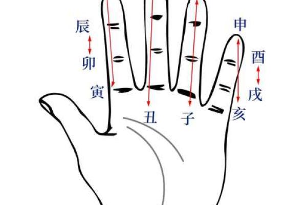 亥地支的象征意义与五行分析