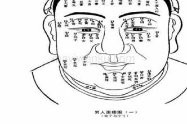 女人脸部痣相图解：运势、爱情与财富的暗示