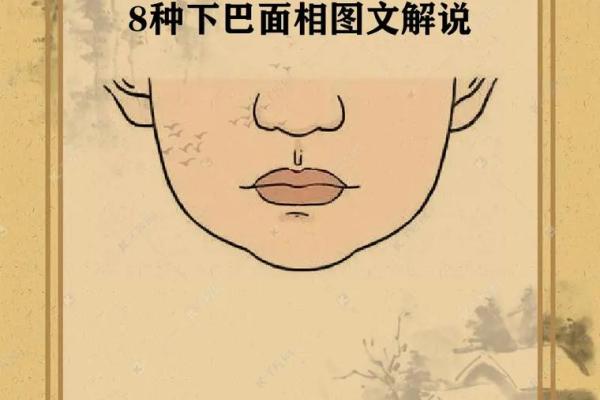 细解下巴面相图：如何从下巴轮廓看性格与运势