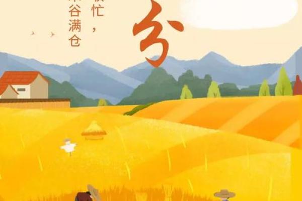 十月节日指南：从秋收到万圣的庆祝时刻