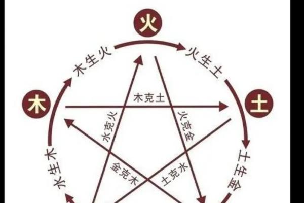 地支与五行的深刻关系解析