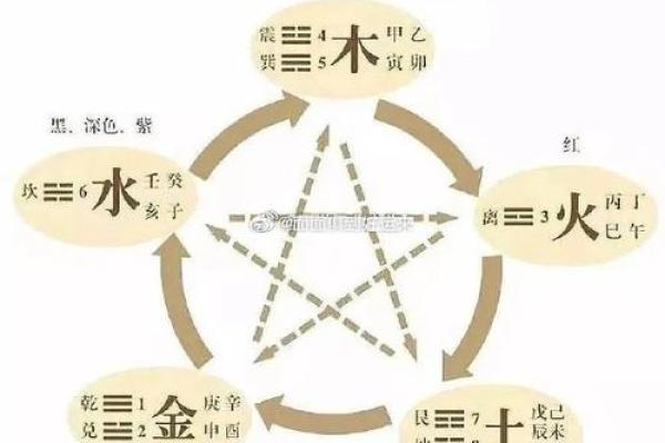地支与五行的深刻关系解析