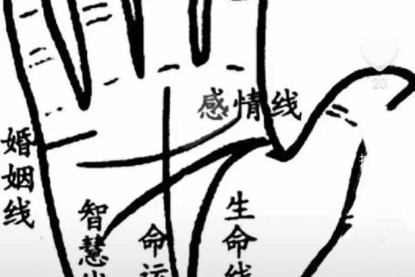 手相纹分析：如何通过掌纹预测人生运势