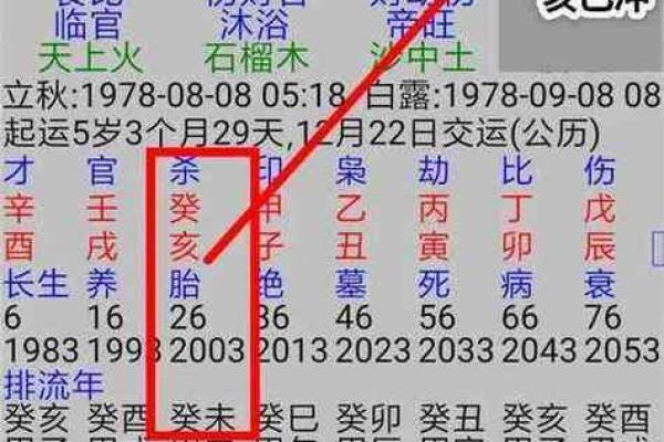 生辰八字如何影响个人命运与性格解析