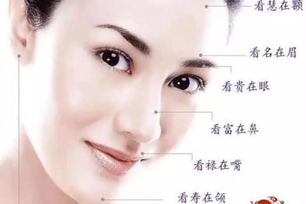 面相书的智慧：如何通过面相解读人生的秘密
