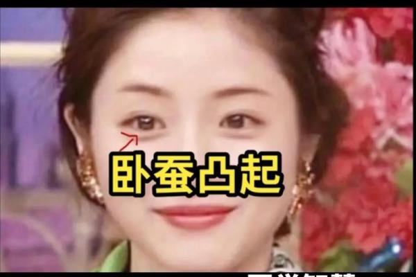 面相书的智慧：如何通过面相解读人生的秘密