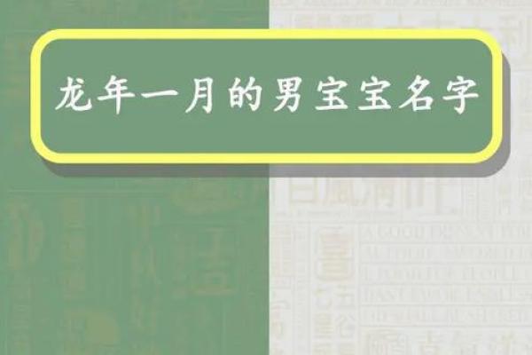 龙年宝宝命名秘诀：如何选个既有个性又有运势的名字