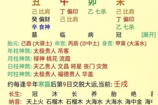 揭秘命理节目如何影响观众的生活决策