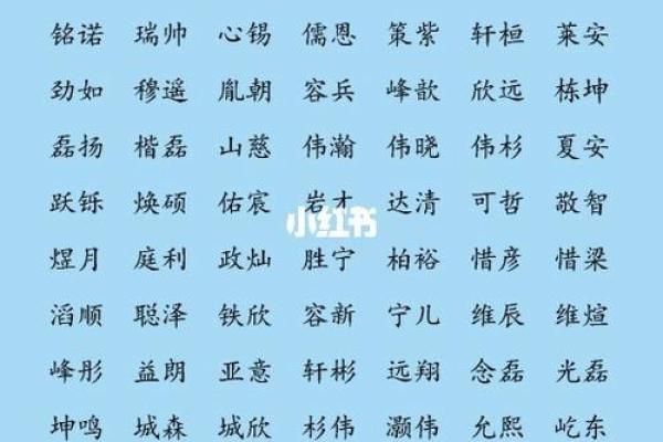 精选好听男孩名字，彰显气质与个性