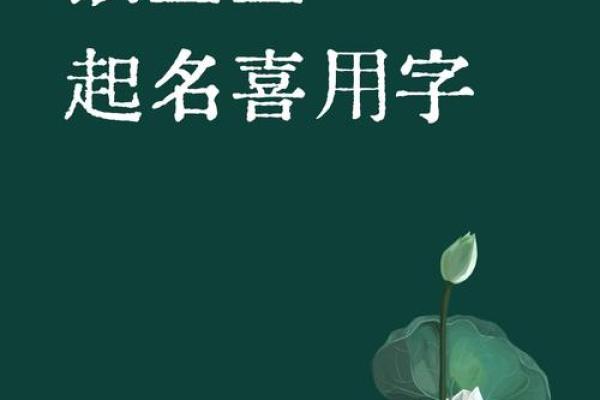 猴年宝宝起名指南：如何选择寓意吉祥的名字
