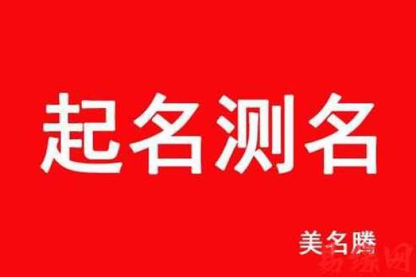 揭秘测名字打分名字与运势的关系分析