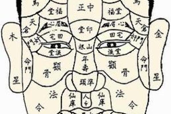 眉骨突出的男性面相分析：外貌与性格的微妙关系