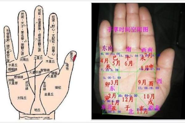 右手手相图解：揭示女生命运轨迹