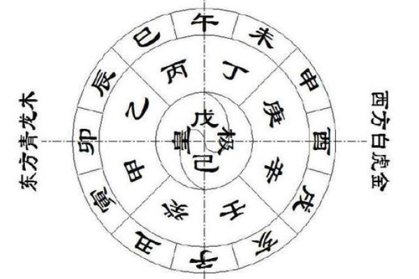 甲字五行属性解析与命理意义探讨