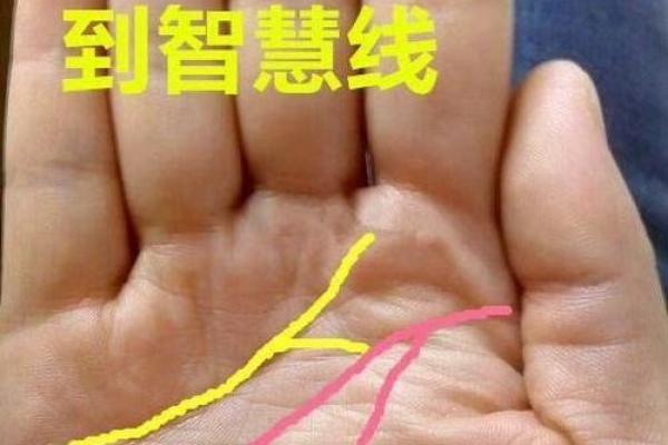 女性手相分析：指尖的命运与未来