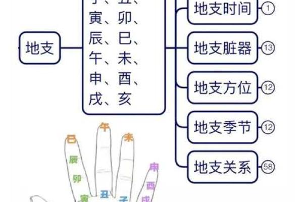 地支与时间对应关系解析：如何通过地支了解时间规律