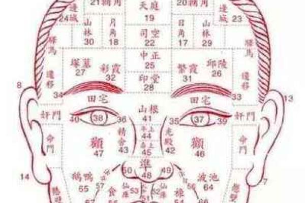 面相学入门：看面相如何预测未来