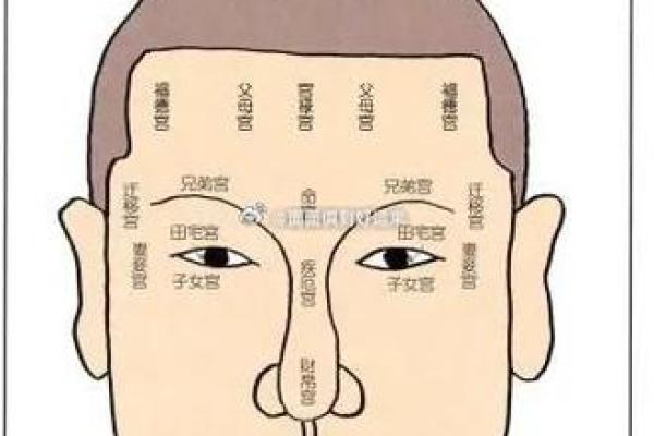面相学入门：看面相如何预测未来