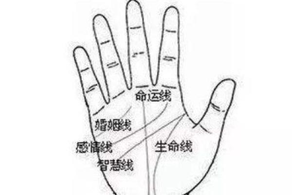 虎吃龙手相解析：贫贱命运的真相与误解