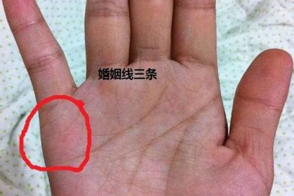 虎吃龙手相解析：贫贱命运的真相与误解