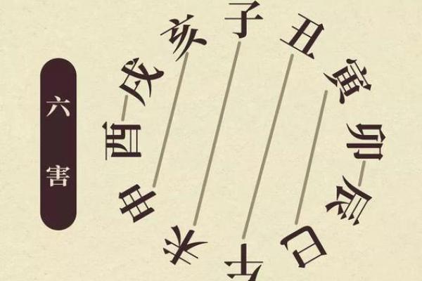 揭秘地支飞：古老命理中的时间流转与运势波动