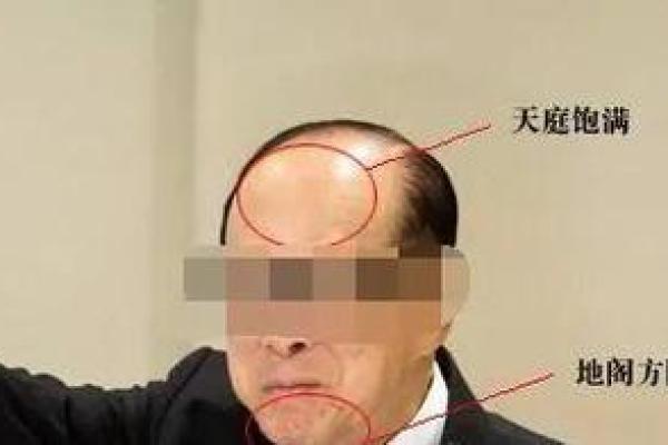 探索龙骨面相的神秘力量：从面部线条看性格与运势