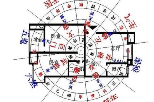 办公室风水植物：布局与种类选择指南