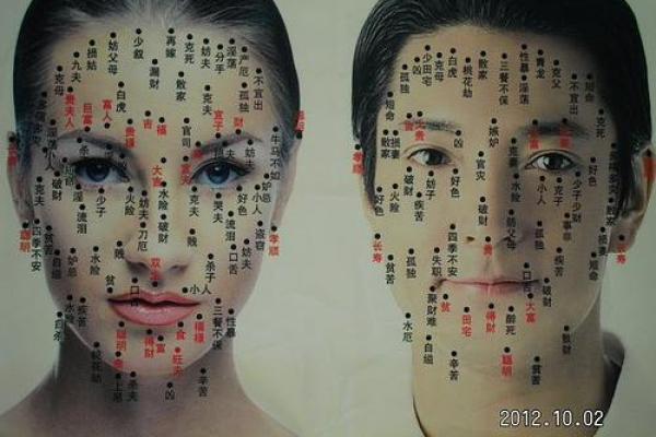 如何正确解读痣相大全PDF中的内容