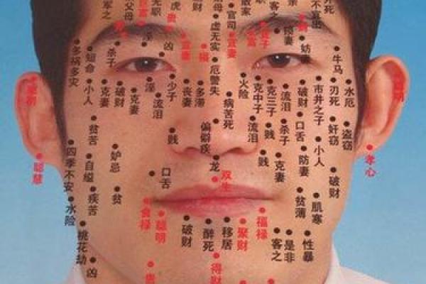 酒窝面相对男人运势的影响解析