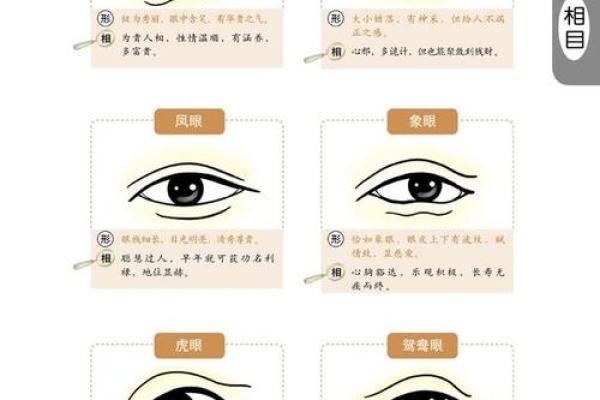 麻衣相法痣相图解大全与面相解读技巧