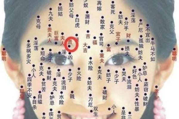 麻衣相法痣相图解大全与面相解读技巧