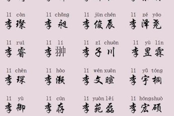 鸡年宝宝起名：如何为你的孩子选择寓意深远的名字