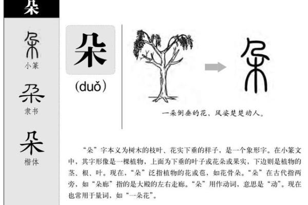 康熙字典起名评分解析：如何根据字形与含义选择完美名字