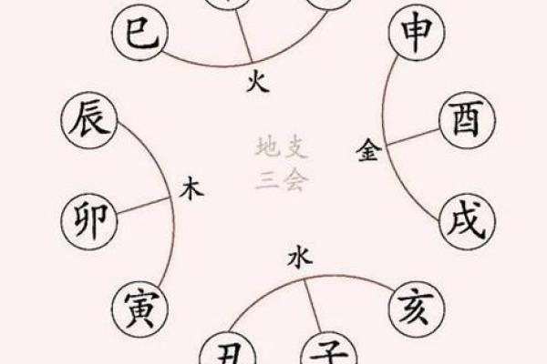 男人八字天干地支多合对婚姻事业的深远影响