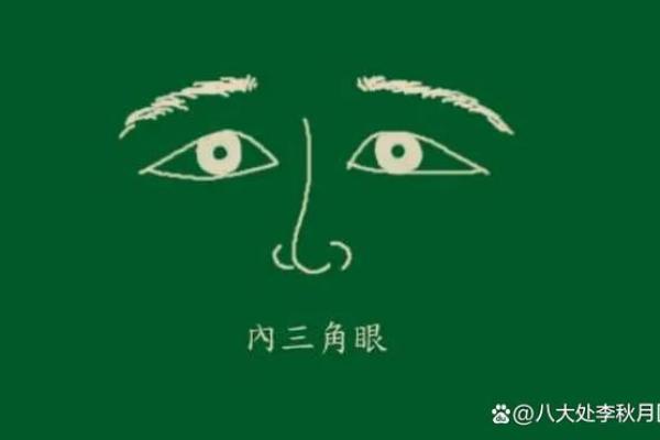 眼睛的面相密码：揭示你潜藏的优缺点
