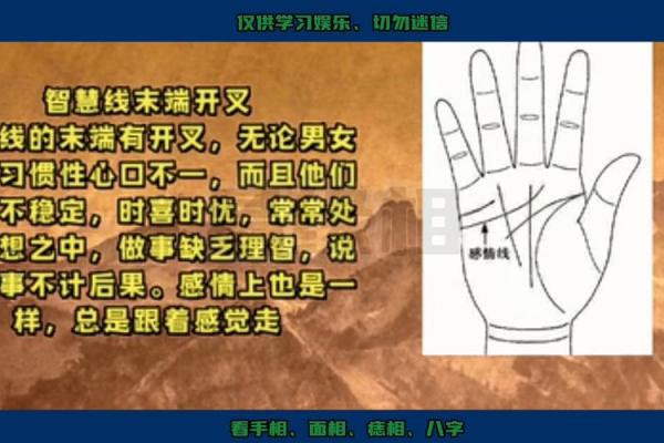 看手相的人真的能看透未来吗？专业解析
