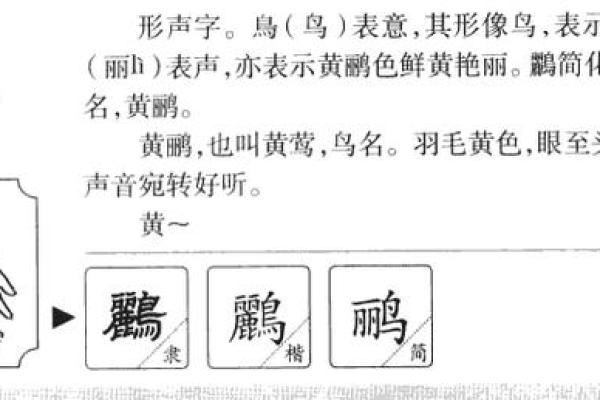 清字命名的独特寓意与应用技巧