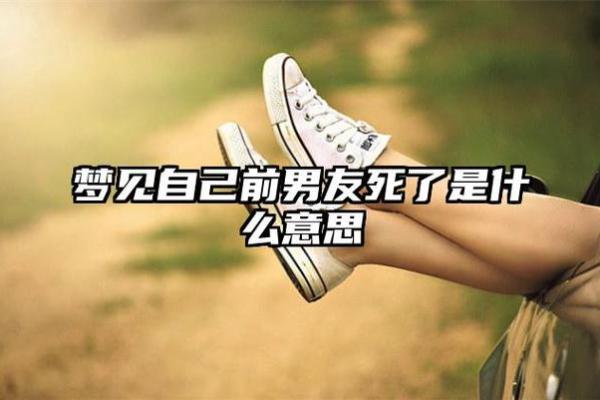 探索梦境中的前男友，寻找情感的真实反映
