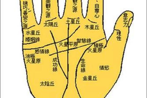 免费算命网站推荐：精准预测你的未来