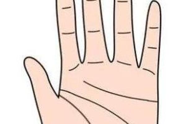 从川字纹看女人命运：深度解读与心理分析