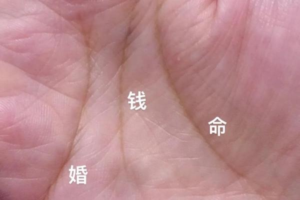从川字纹看女人命运：深度解读与心理分析