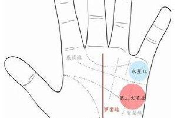 解读男人手相中的财富线与事业线